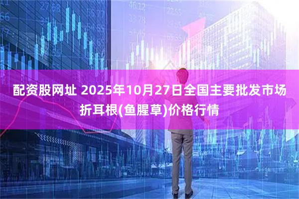 配资股网址 2025年10月27日全国主要批发市场折耳根(鱼腥草)价格行情