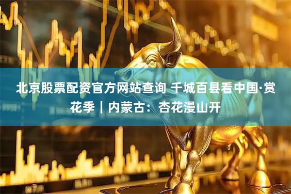 北京股票配资官方网站查询 千城百县看中国·赏花季｜内蒙古：杏花漫山开